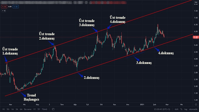 trend nedir nasıl kullanılır